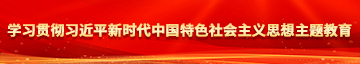 激情干b学习贯彻习近平新时代中国特色社会主义思想主题教育